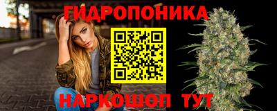 шишки Бузулук