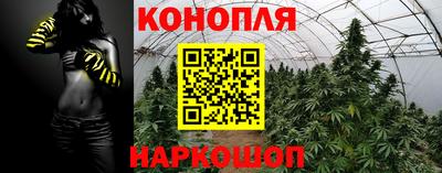ECSTASY Будённовск